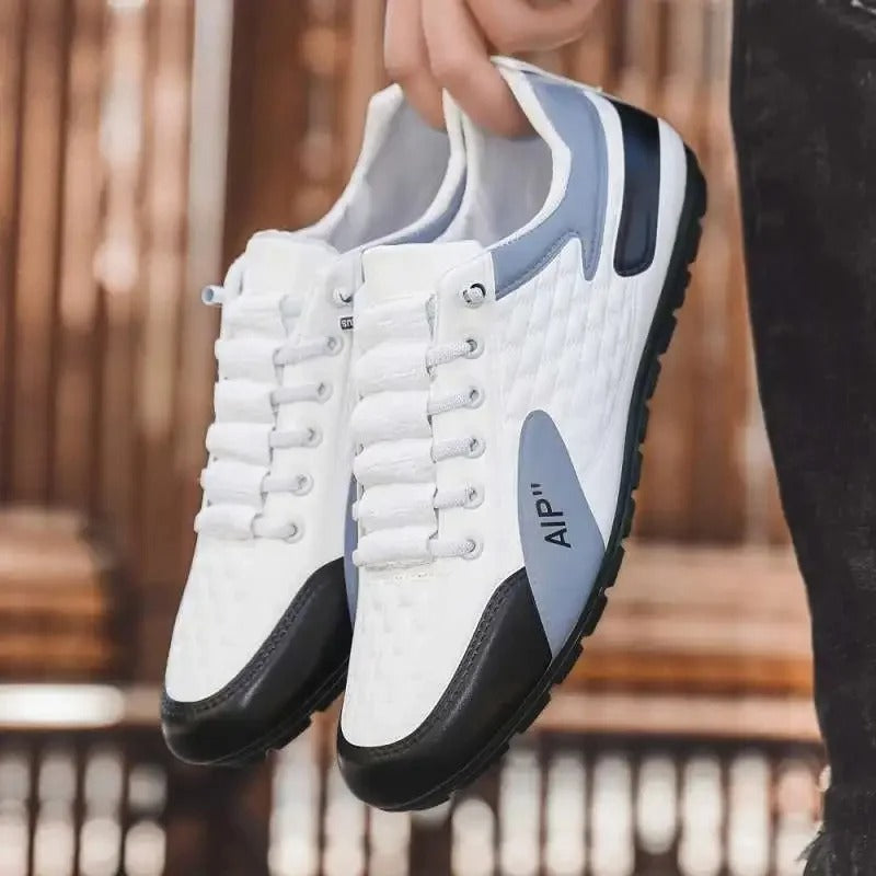 gid://shopify/MediaImage/41238639706401